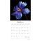 In the Garden | 2026 12 x 24 Inch (Hanging) Monthly Square Wall Calendar | Plastic-Free